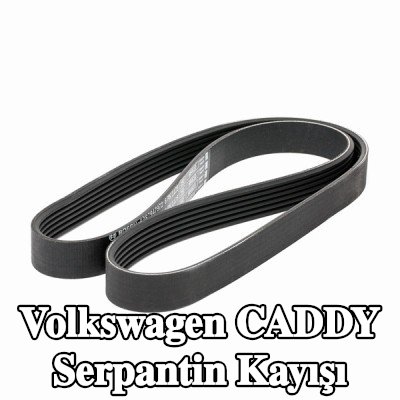 BOSCH Serpantin kayışı 1125mm, Number of ribs: 6 — 2012 Volkswagen Caddy