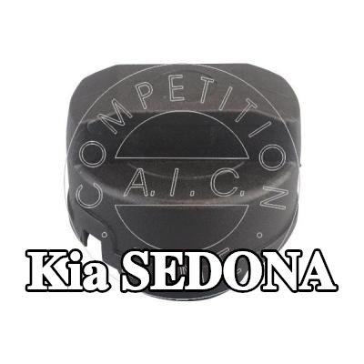 AIC غطاء خزان الوقود بدون حزام دعم — Kia Sedona