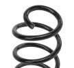 SACHS Helezon yay — 2012 Renault Duster (3)
