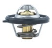 MOTORAD Termostat 54°C, conta halkası ile — Ford Focus (4)
