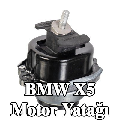FEBI BILSTEIN Motor yatağı Sağ — 2016 BMW X5