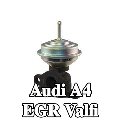 HELLA Contalı/sızdırmazlık elemanlı EGR valfi — 1997 Audi A4