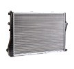 RIDEX Hızlı bağlantı elemanlı motor radyatörü — 2002 Land Rover Discovery (3)