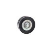 SKF Saptırma / kılavuz kasnağı, V-ribbed belt Ø: 76mm, sabitleme malzemesi ile — 1990 Ford Fiesta (3)
