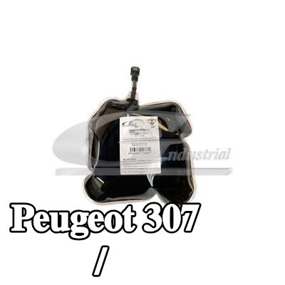 3RG مضافات، تجديد مرشح السخام/الجسيمات — Peugeot 307