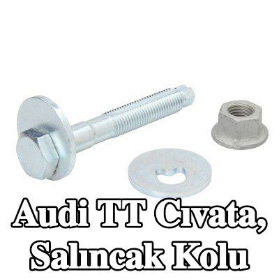 REINHOCH Cıvata, salıncak kolu Ön aks her iki taraf, Arka Aks her iki taraf — Audi Tt