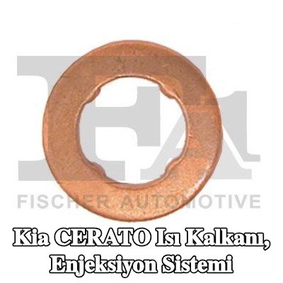 FA1 Isı Kalkanı, enjeksiyon sistemi — Kia Cerato