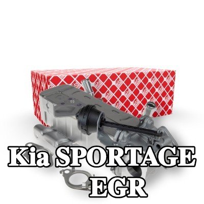 FEBI BILSTEIN مبرد EGR مع حشيات/أختام — 2012 Kia Sportage