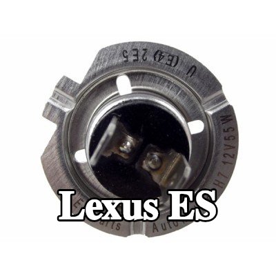 EINPARTS لمبة المصباح الأمامي — 2000 Lexus Es