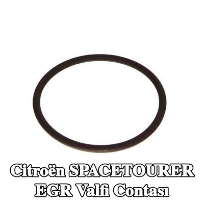 CITROEN/PEUGEOT EGR valfi contası — Citroën Spacetourer