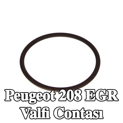 CITROEN/PEUGEOT EGR valfi contası — 2012 Peugeot 208