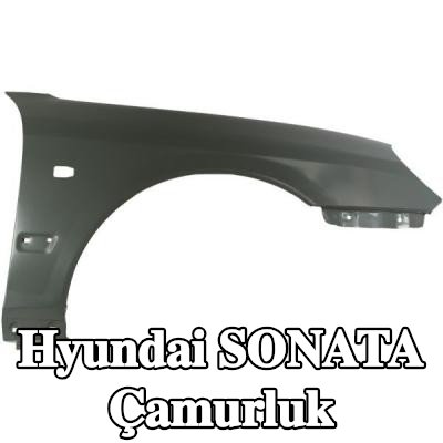 BLIC Çamurluk Sağ Ön — 2002 Hyundai Sonata