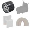 RIDEX Filtre kiti — Nissan Nv200 (2)