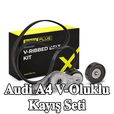 RIDEX PLUS V-Oluklu Kayış Seti — 2005 Audi A4