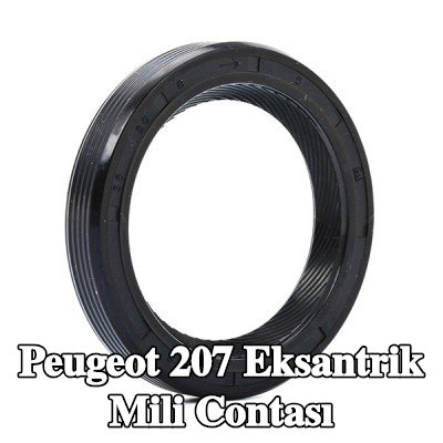 FEBI BILSTEIN Ön taraf eksantrik mili contası — Peugeot 207