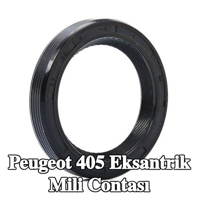 FEBI BILSTEIN Ön taraf eksantrik mili contası — Peugeot 405