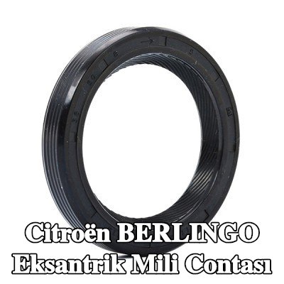 FEBI BILSTEIN Ön taraf eksantrik mili contası — 2000 Citroën Berlingo