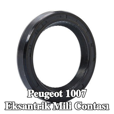 FEBI BILSTEIN Ön taraf eksantrik mili contası — Peugeot 1007