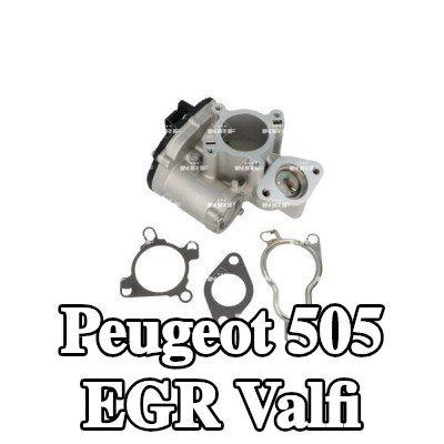 NRF Contalı/sızdırmazlık elemanlı EGR valfi — Peugeot 505