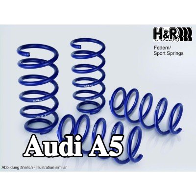 H&R مجموعة التعليق, نوابض لولبية المحور الأمامي, المحور الخلفي — 2012 Audi A5