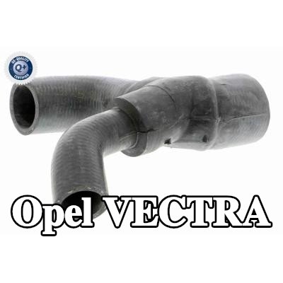 VAICO خرطوم المبرد جودة VAICO الأصلية — 2004 Opel Vectra