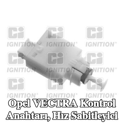 QUINTON HAZELL Kontrol Anahtarı, hız sabitleyici — 2002 Opel Vectra