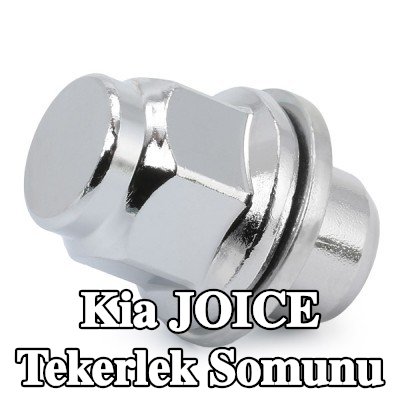 FEBI BILSTEIN Tekerlek Somunu 21 — Kia Joice