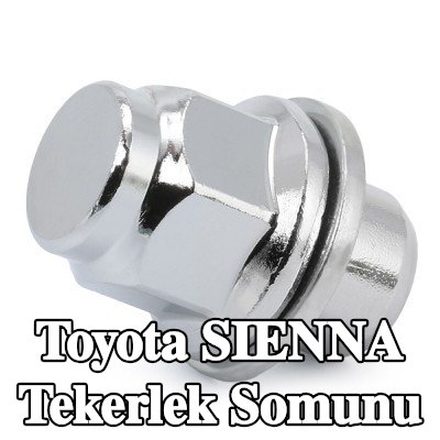 FEBI BILSTEIN Tekerlek Somunu 21 — 2003 Toyota Sienna