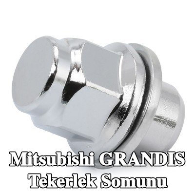 FEBI BILSTEIN Tekerlek Somunu 21 — Mitsubishi Grandis
