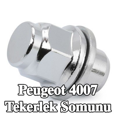 FEBI BILSTEIN Tekerlek Somunu 21 — Peugeot 4007