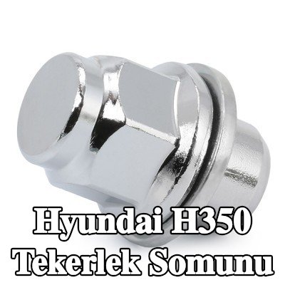 FEBI BILSTEIN Tekerlek Somunu 21 — Hyundai H350