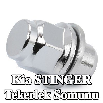 FEBI BILSTEIN Tekerlek Somunu 21 — Kia Stinger