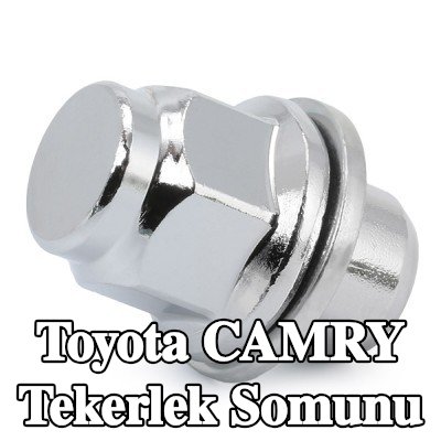 FEBI BILSTEIN Tekerlek Somunu 21 — Toyota Camry