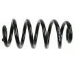 SACHS Helezon yay — 2004 Audi A6 (4)