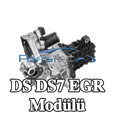 PartsTec Conta/sızdırmazlık elemanlı EGR Modülü, Kontrol Ünitesi/Yazılımı eğitilmeli/güncellenmelidir — DS Ds7