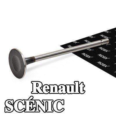 RIDEX صمام العادم — 2000 Renault Scénic