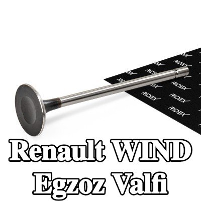 RIDEX Egzoz valfi — Renault Wind