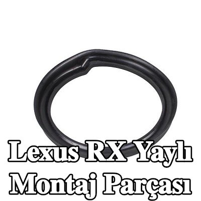 METZGER Alt yay montajı, Arka Aks Sol, Arka Aks Sağ — Lexus Rx