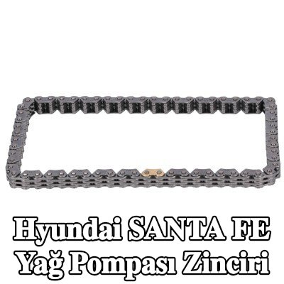 FEBI BILSTEIN Yağ pompası zinciri — Hyundai Santa Fe