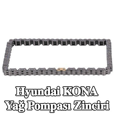 FEBI BILSTEIN Yağ pompası zinciri — Hyundai Kona