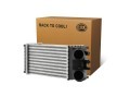 HELLA Intercooler — Citroën Xsara (1)