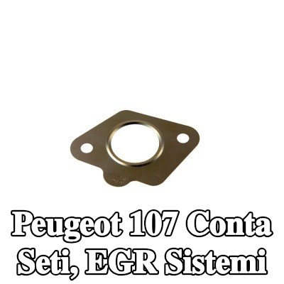 CITROEN/PEUGEOT Conta seti, EGR sistemi — Peugeot 107