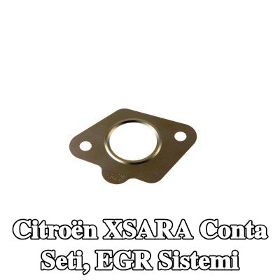 CITROEN/PEUGEOT Conta seti, EGR sistemi — Citroën Xsara