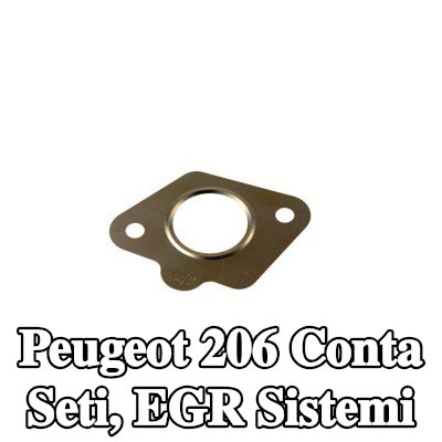 CITROEN/PEUGEOT Conta seti, EGR sistemi — Peugeot 206