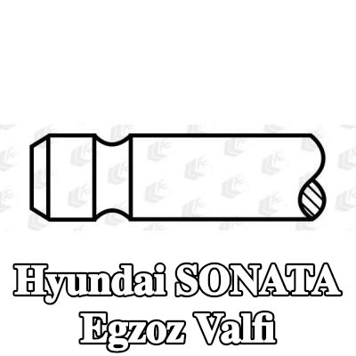 AE Egzoz valfi — Hyundai Sonata