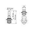 BOSCH Ampul — Land Rover Range Rover (5)