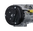 VALEO PAG kompresör yağı içeren klima kompresörü — DS Ds4 (4)