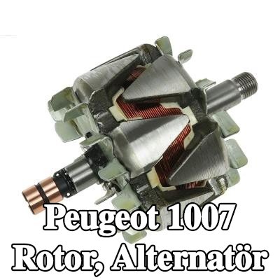 AS-PL Rotor, alternatör — Peugeot 1007