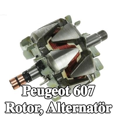 AS-PL Rotor, alternatör — Peugeot 607