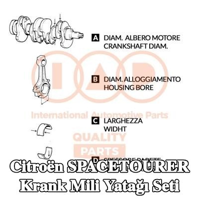 IAP QUALITY PARTS Krank mili yatağı seti — Citroën Spacetourer